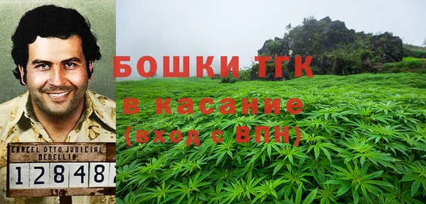 стафф Новокубанск